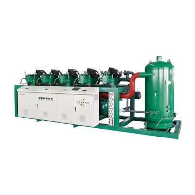 China Other Double Compressor Condensing Unit Supplier for sale