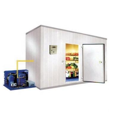 China 2022 Container Industry Refrigerator Container Sale Cold Room For Meat for sale