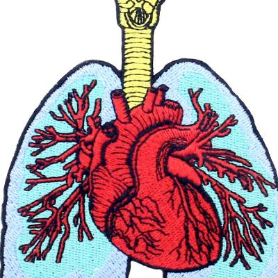 China Handmade Wholesale Iron On Patches Custom Design Lung And Heart Design Embroidery Patch For Jeans Apparel for sale