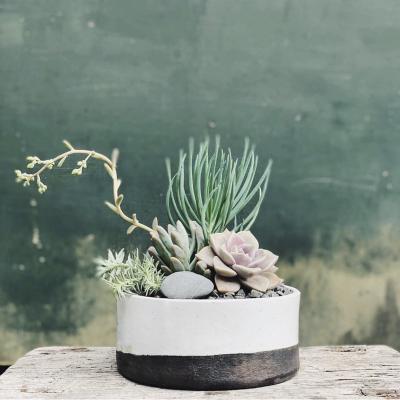 China Stylish Two Tone Nordic White And Black Ceramic Desktop Planter Succulent Pot Eco-Friendly Eco-Friendly For Home Decor for sale