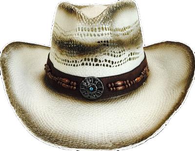 China Verified Manufacturer Western Panama Hat Cowboy Straw Men Women Kid Hat Inside for sale