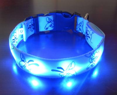 China Pet Cat Leash And Collar Set LED Lights With LED Light Pet Collars Pet LED Collar for sale