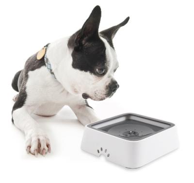 China Stocked Spill Proof Drinking Slow Pet Water Dispenser Bowl Driver Dog Bowl for sale