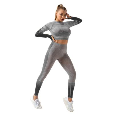 China Breathable Seamless Long Sleeve Ribbed Plus Size Activewear Yoga Pants Gaiters Sets Fitness Yoga Clothes Wear Women for sale