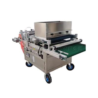 China High efficiency cavity tray seedling breeder automatic photoelectric induction vegetable breeder tomato seeding machine for sale