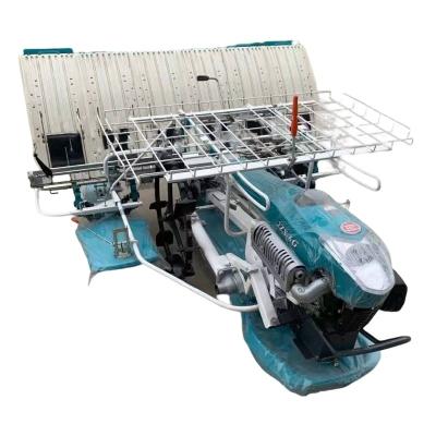 China Rice Transplanter 6 Rows of Hand Held Walk-In Rice Transplanter Rice Planting Machine 4/6 Rows Rice Planting Machine Seedling Machine for sale