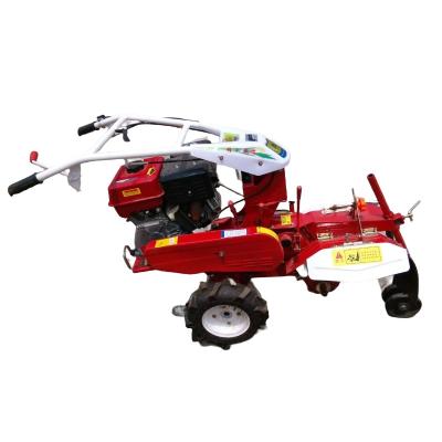 China Diesel Rotary Tiller Orchard Trencher Soil Cultivator Potato Sugarcane Rotary Cultivator for sale