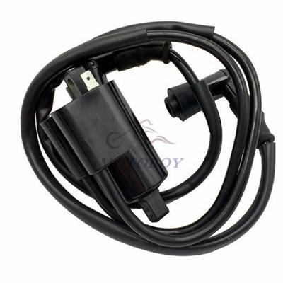 China Metal+Plastic+Rubber Standard High Temperature Resistance Motorcycle Ignition Coil For Sale for sale