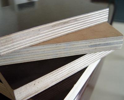 China M. industrial p. use commercial and construction plywood and plywood plywood for sale