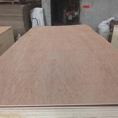 China Traditional High Quality Bintangor Face/Back Plywoods For Furniture Usage for sale