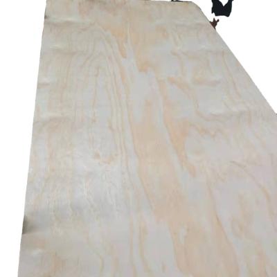 China Modern Pine Veneered Plywood BB/CC Plywood for sale