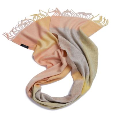 China Luxury Cashmere Plaid Winter Scarf Men's Unisex Scarves for sale