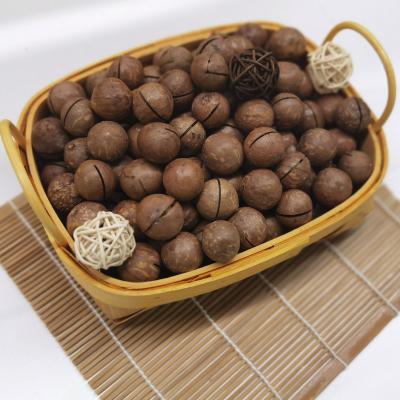 China Best Price Dried Chinese Roasted Cream Hazelnuts for sale