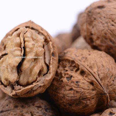 China Good Price Yunnan Dried Walnuts With Shell for sale