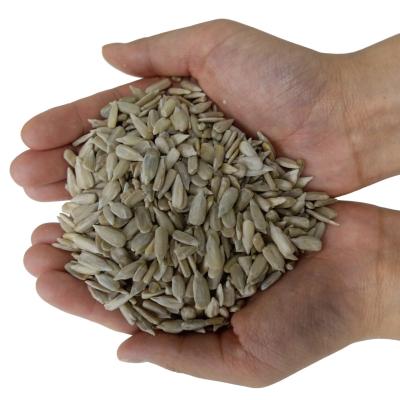 China Good quality Non-extra large size sunflower seed core of sonnenblumenkerne for snack for sale