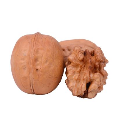 China Free Samples Xinjiang Dry Raw Nuts Dried Walnuts In The Shell for sale