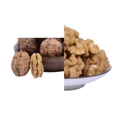 China Dried Chinese Dried Nuts Light HALVES Wallnut Walnut Without Shell for sale