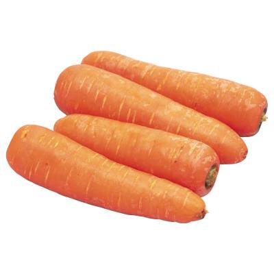 China 2023 new China fresh organic vegetables wholesale Chinese red carrot carrots seeds in bulk fresh price for dubai export for sale