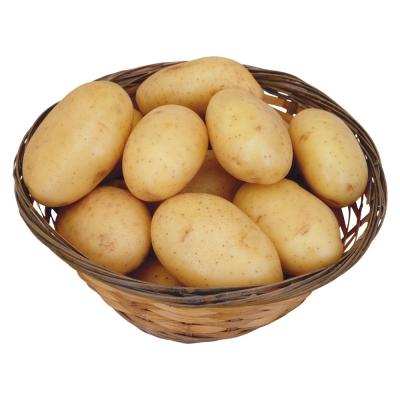 China Frozen Potato in Good Quality in Bulk for sale