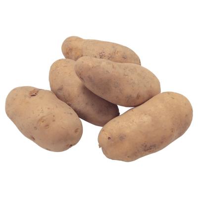 China China 2023 new crop Fresh Potato supplier for export for sale