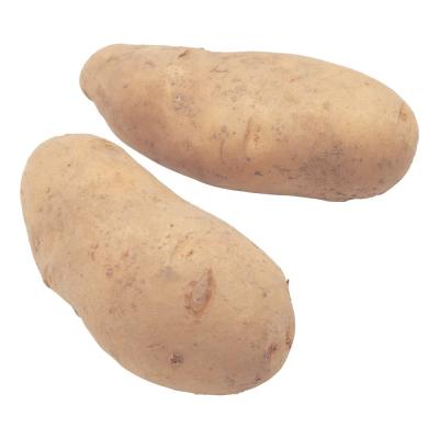 China 2023 new crop Fresh Potato for sale Frozen for export for sale