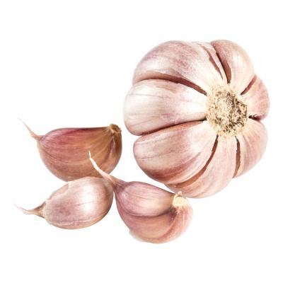 China Chinese Garlic Fresh Normal White and Pure White Supply from Garlic at for Vegetables for sale