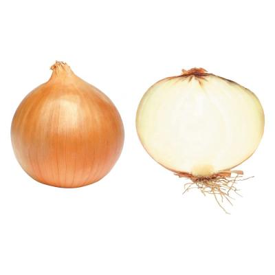 China 2023 new crop of brand fresh onions red and yellow onion white price per ton in China from Chinese onion seeds for sale