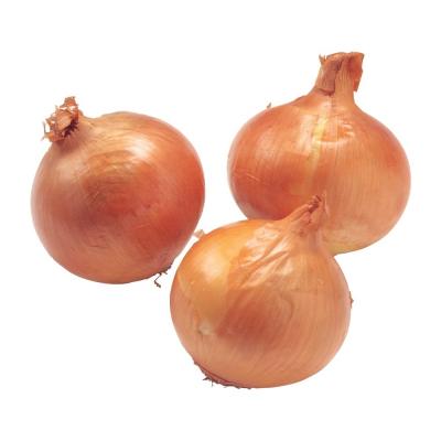 China New crop of red shallot onion with low price for export Chinese onion for sale