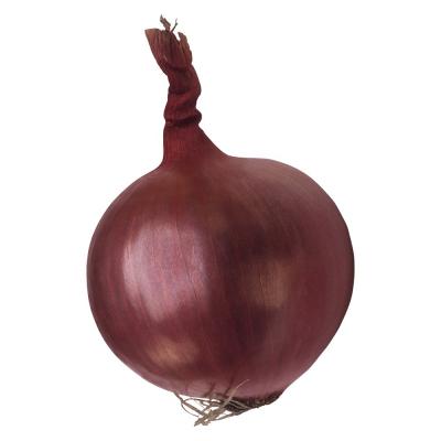 China 2023 new crop of brand fresh onions Red Shallot seeds price per ton in China for Thai shallot importers for sale for sale