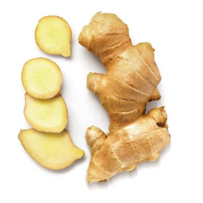 China Fresh Air-Dried Ginger and Young Ginger of Crop Ginger for Vegetable Consumption for sale