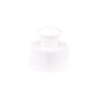 China Pull-Push Cap 2021 Wholesale High Quality Plastic Beak Special Hot Selling Plastic Cap for sale