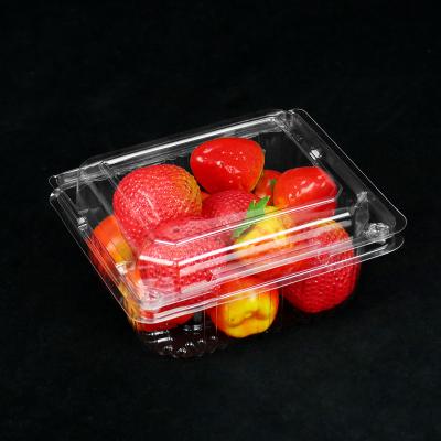 China Fresh Fruit Disposable Transparent Box Packaging Hubei Apple Fruit Packing Box Plastic Containers for sale