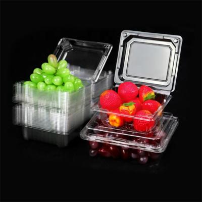 China Factory direct hot sale disposable normal pet strawberry box plastic transparent fruit container made in China in low price for sale