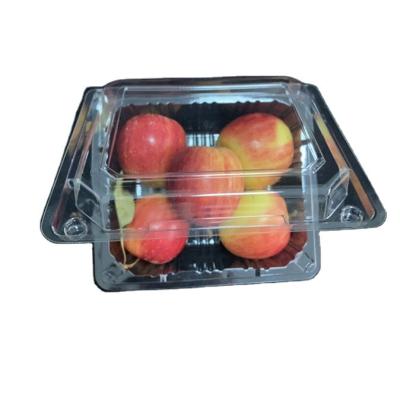 China Disposable low price collapsible transparent fruit cake storage box with high quality for sale