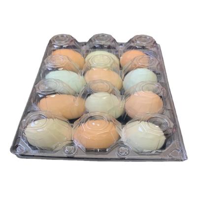 China Good Disposable Eco Friendly Stocked Selling Custom Plastic Egg Box for sale