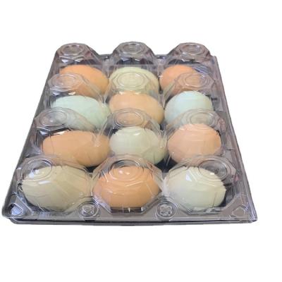 China 2021 Top Selling Stocked Eco-Friendly Disposable Customize 12 Egg 12 Hole Capacity Plastic Duck Plastic Egg Tray Incubator for sale