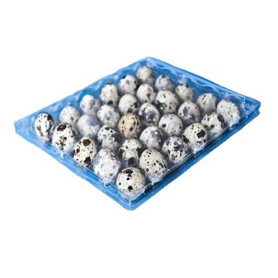 China Custom Disposable Egg Tray Container Suppliers 12 30 88 Cells/Plastic Disposable Holes PVC Quail Egg Tray for sale