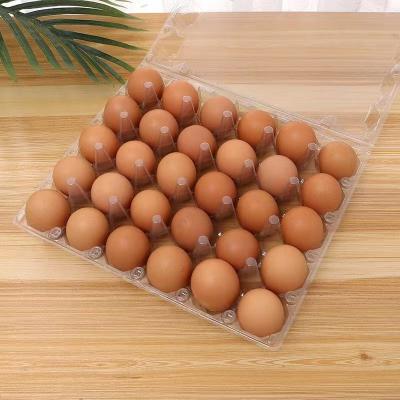 China Disposable Eco-Friendly Stored Disposable Plastic Egg Tray Packaging Fresh And Factory Direct Plastic Blister Box 30 Holes Egg Packaging for sale