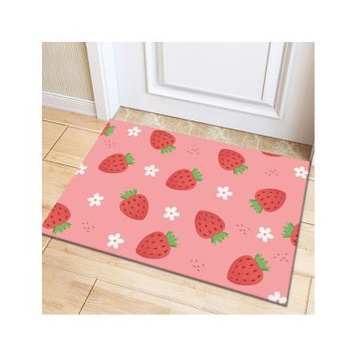 China Washable Fully Stocked Customized A Variety Of Beautiful Styles Anti-Slip Door Mat for sale