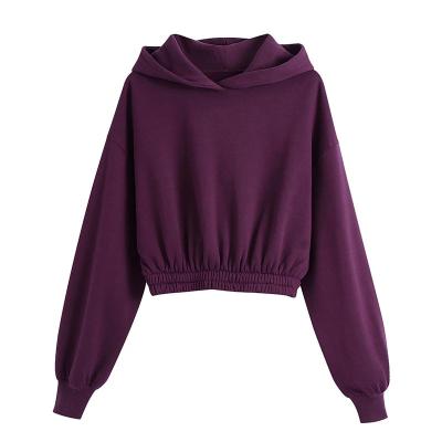 China Anti-wrinkle Simplee Casual Solid Women Shear Sweatshirts Autumn Winter Female Long Sleeve Hoodies Fashion Loose Ladies Pullover Tops for sale