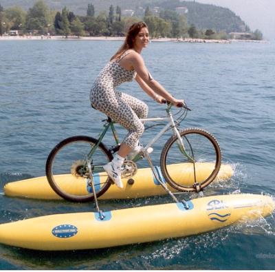 China High Quality Double Scenic Entertainment Water Bike Scooter Sea Skateboard Surfboard Water Jet Bike Can Be Customized for sale