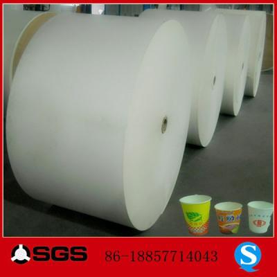 China Waterproof pe coated paper cup raw material, coil paper for cup for sale