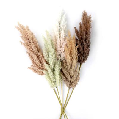 China Realistic Multiple Color Artificial Pampas Grass Feathery Soft Reed Decorative Display And Fluffy Grass Farm Dry Plants Decor for sale