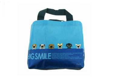 China Promotional blue canvas polyester cloth shopping bag for environmentalists for sale