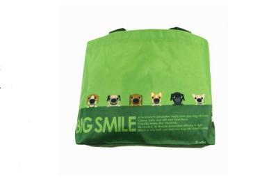 China Eco friendly reuseable green cloth shopping bag foldable , Small picnic bags for sale