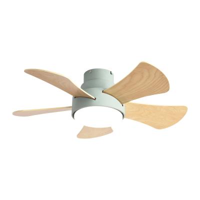 China Modern DC Motor Ceiling Fan Lamp 32 Inch 5 Blades Decorative Luxury Porcelain Modern Led Ceiling Fan Lights 5 Remote Control for sale