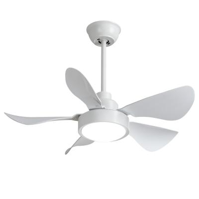 China Modern 32 Inch Ceiling Fan Lamp Modern DC Motor Living Room Bedroom With Remote Control Decorative Ceiling Fan With Light for sale