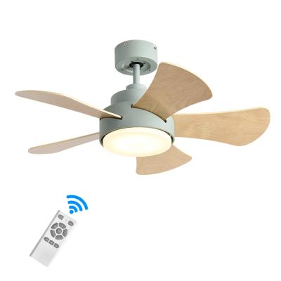 China Modern Energy Saving Plywood 32inch 5 Blades 3 Color Temperature Led Ceiling Fan With Light for sale