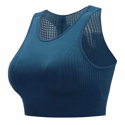 China Breathable Seamless Border Sports Bra Foreign Trade Sports Bra Hollow Back Rimless Underwear for sale