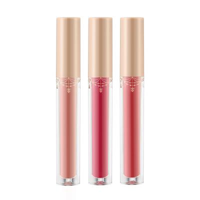 China Customized Customized Fancy Plump Matte Lip Gloss Waterproof Private Label Liquid Lip Gloss Waterproof Beautiful for sale